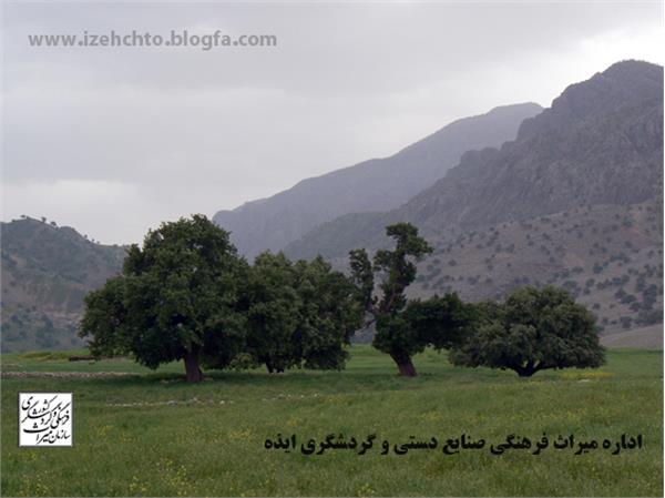 دشت سوسن